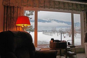waiting-for-spring_w