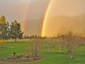 Rainbows 1900x1425888x600